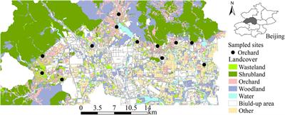 Improving Habitat Quality at the Local and Landscape Scales Increases Wild Bee Assemblages and Associated Pollination Services in Apple Orchards in China